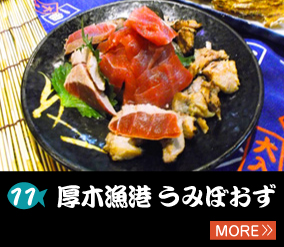 11.厚木漁港 うみぼおず